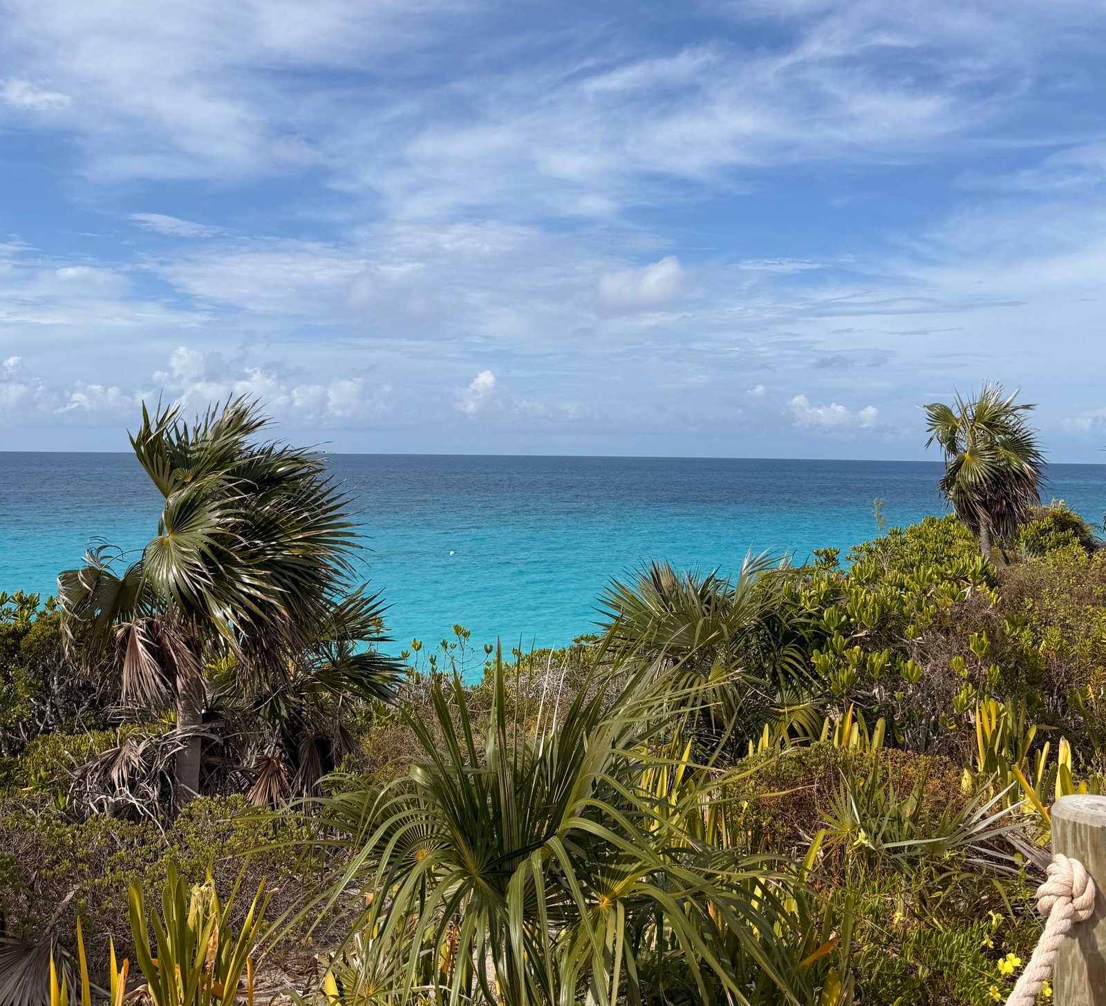 A memorable vacation experience planned by Jamie's Main Street